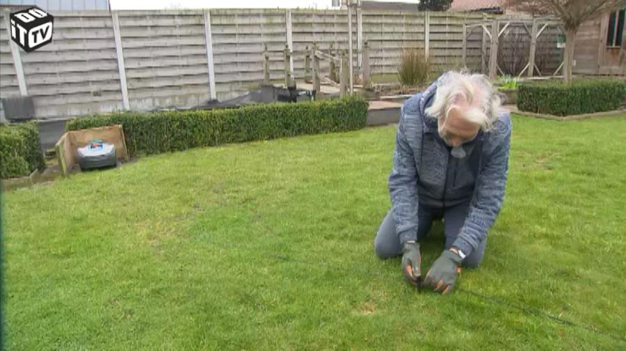 Onmisbare voorjaarsklussen in je tuin