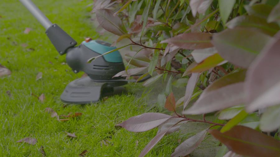 Hoe kies je een grastrimmer?