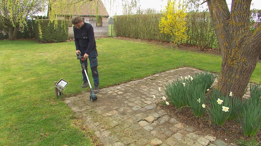 Praktische tuintips voor het voorjaar