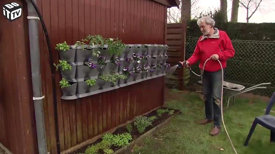 Een tuin aan de muur?