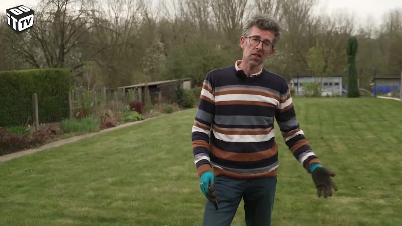 Tips en tricks om je planten in topconditie te houden